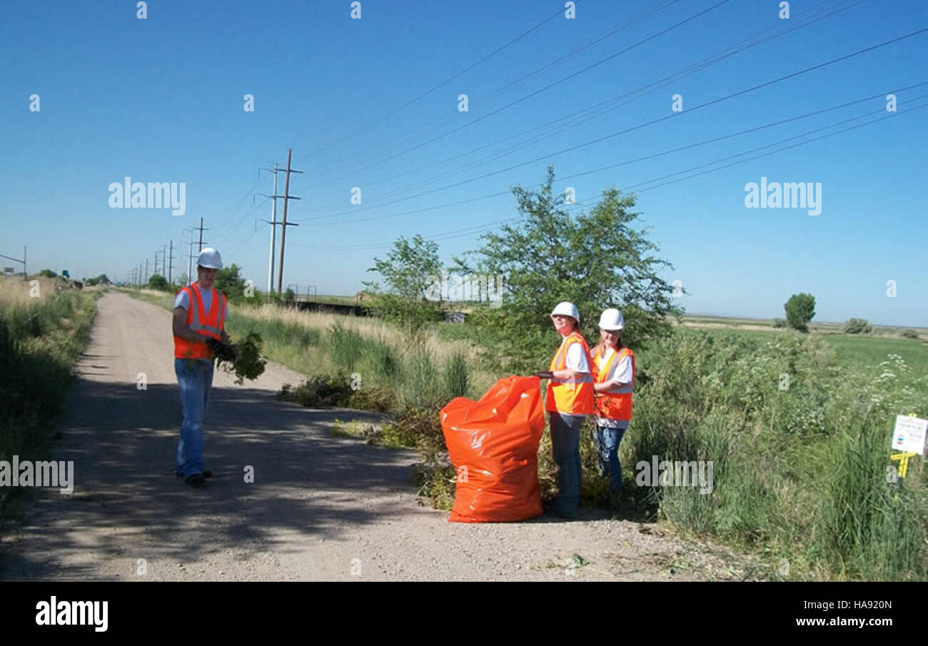 Des efforts de lutte contre les mauvaises herbes sont en cours dans un site de parc national, en mettant l'accent sur l'élimination d'espèces végétales envahissantes afin de protéger la flore indigène et de promouvoir la santé des écosystèmes du parc. Banque D'Images