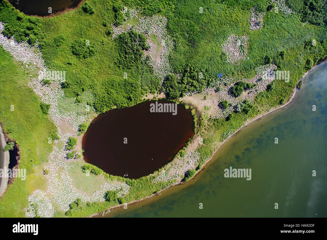 Le refuge faunique national de Chase Lake, dans le Dakota du Nord, fournit un habitat essentiel aux oiseaux nicheurs, y compris de grandes îles qui servent de zones de reproduction sûres pour diverses espèces. Banque D'Images