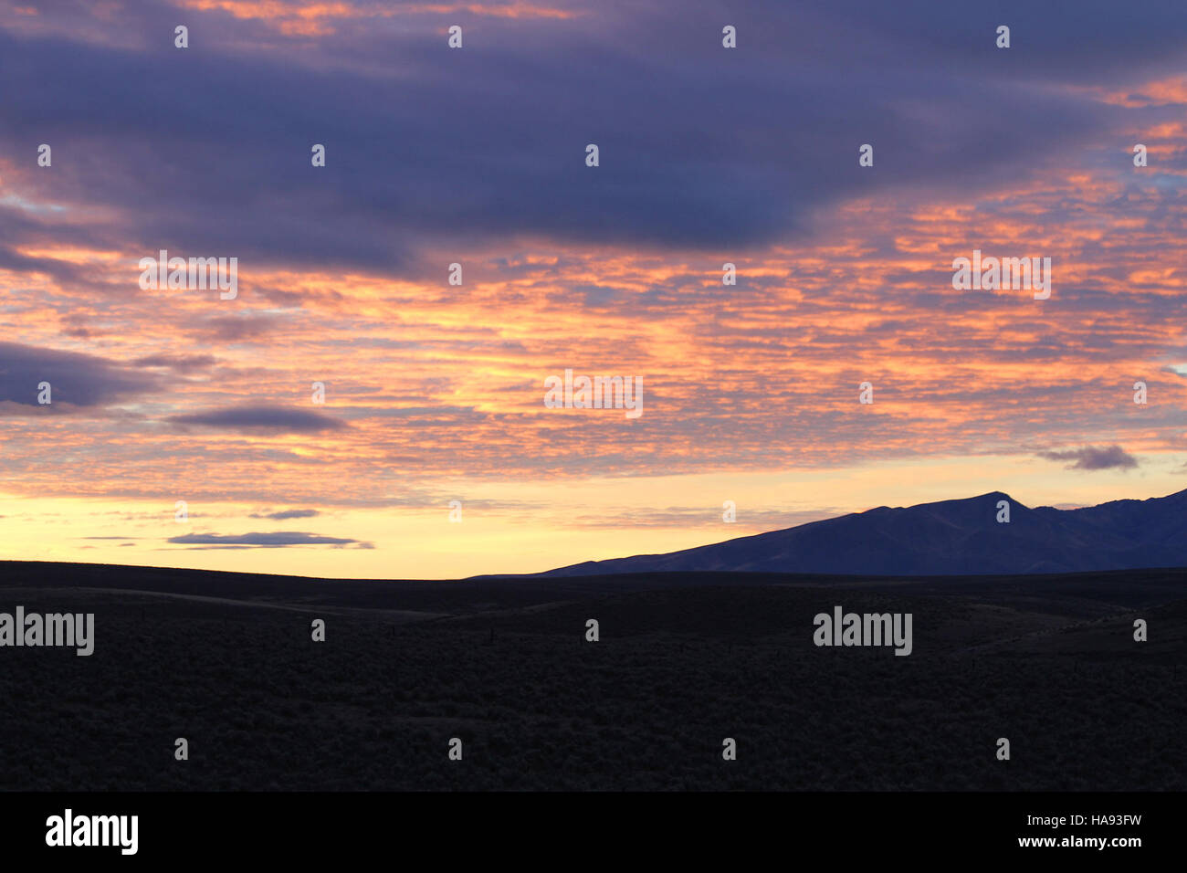 L'événement Owyhee Gathering, organisé par le Bureau of Land Management du Nevada, met l'accent sur la gestion de la faune, la conservation des terres et la sensibilisation du public à l'utilisation responsable des terres. Banque D'Images
