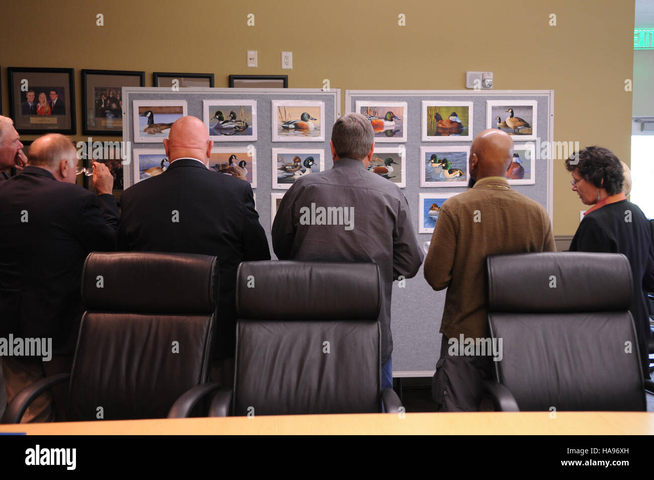 Le concours de timbres de chasse et de conservation des oiseaux migrateurs du U.S. Fish and Wildlife Service de 2012 a attribué la deuxième place à cette œuvre d'art, représentant la sauvagine dans son habitat naturel. Le concours de timbres de canard, une tradition de longue date, recueille des fonds pour les efforts de conservation aux États-Unis. Les œuvres d'art symbolisent l'importance continue de préserver les habitats des oiseaux migrateurs. Banque D'Images