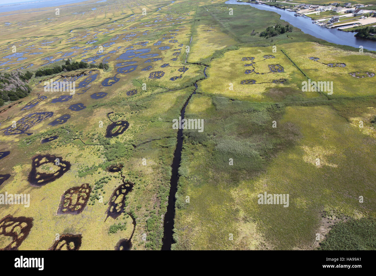 Les marais et les tourbières du refuge national de faune Edwin B. Forsythe fournissent des habitats essentiels pour les oiseaux migrateurs et d'autres espèces des zones humides, soutenant la biodiversité et les efforts de conservation dans la région. Banque D'Images