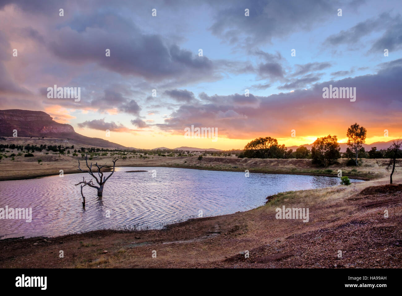 La magnifique Rawnsley Park au lever du soleil dans le centre de Flinders en Australie du Sud de l'Outback Banque D'Images