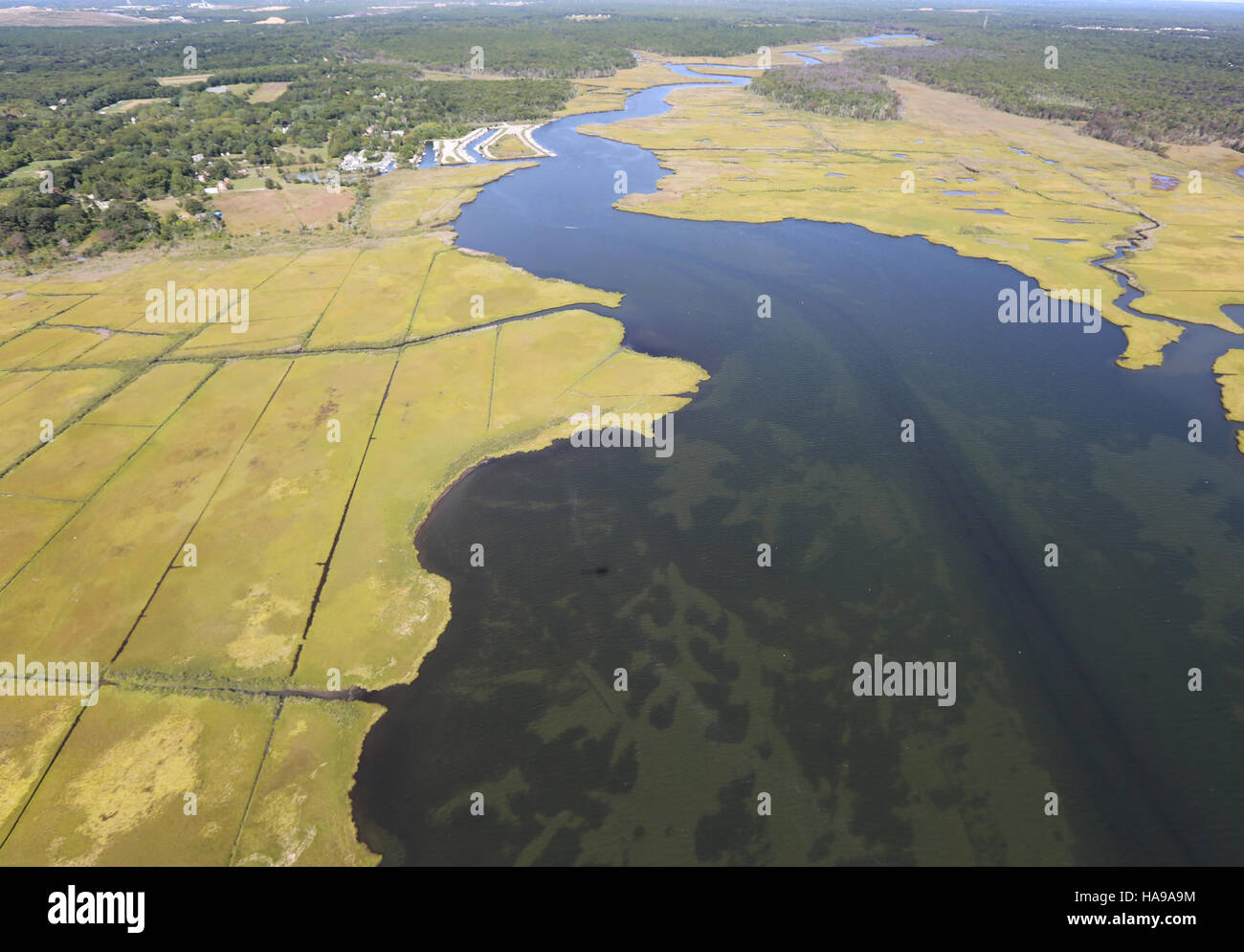 Une vue aérienne des marais côtiers au refuge national de la faune de Wertheim, mettant en valeur les divers écosystèmes du parc et son rôle dans la préservation des habitats des zones humides. Banque D'Images