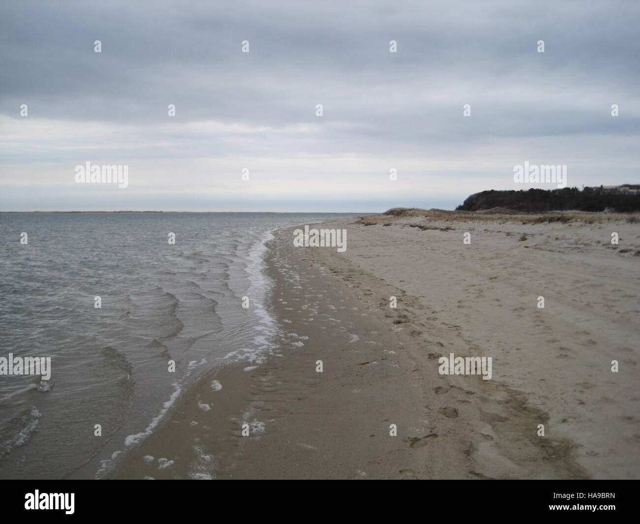 Le refuge national de faune de Monomoy protège les habitats côtiers, y compris les rivages, qui fournissent des ressources vitales aux espèces d'oiseaux migrateurs et à d'autres espèces sauvages. Banque D'Images