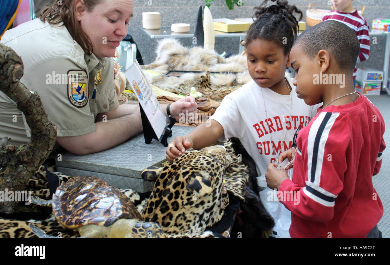 Les enfants interagissent avec un chat domestique lors d'une activité éducative dans un parc national, illustrant le rôle des programmes publics dans la sensibilisation à l'environnement et les soins aux animaux. Banque D'Images