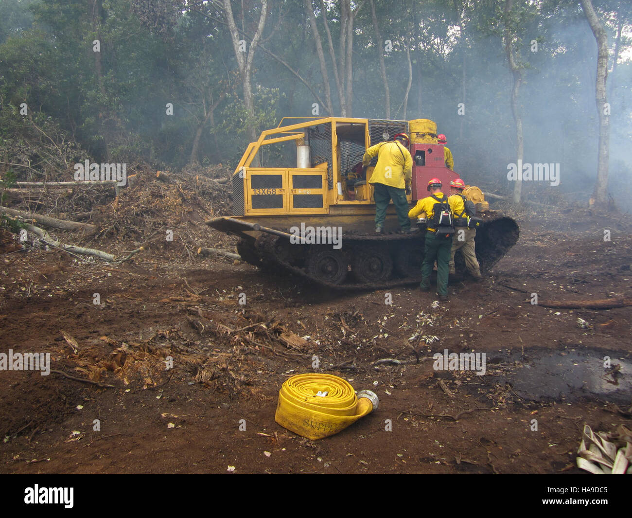 Cette image montre l'utilisation de tuyaux flexibles pour la collecte de données environnementales dans un parc national. La technique met en évidence les méthodes modernes utilisées dans la recherche et la surveillance pour s’assurer que les écosystèmes du parc demeurent sains et durables. Banque D'Images