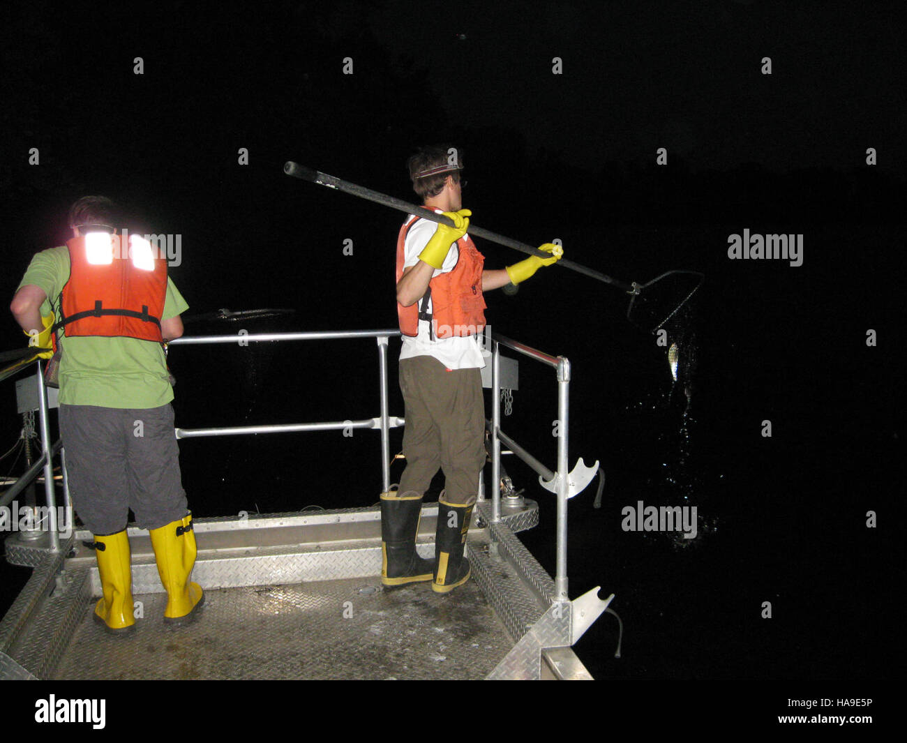 Des techniques de pêche électrique sont utilisées dans les parcs nationaux pour surveiller les populations de poissons, évaluer les écosystèmes aquatiques et assurer la protection des espèces aquatiques. Cette méthode est utilisée pour la gestion durable du poisson dans les eaux du parc. Banque D'Images