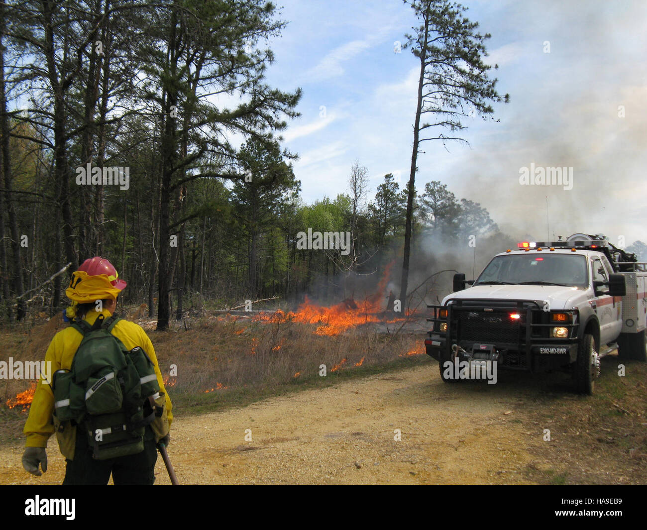 Service Engine est un programme essentiel qui aide à assurer le fonctionnement efficace des installations du parc national, contribuant ainsi à la préservation et à la gestion des ressources et des services du parc. Ce programme appuie les fonctions quotidiennes des services et des opérations du parc. Banque D'Images