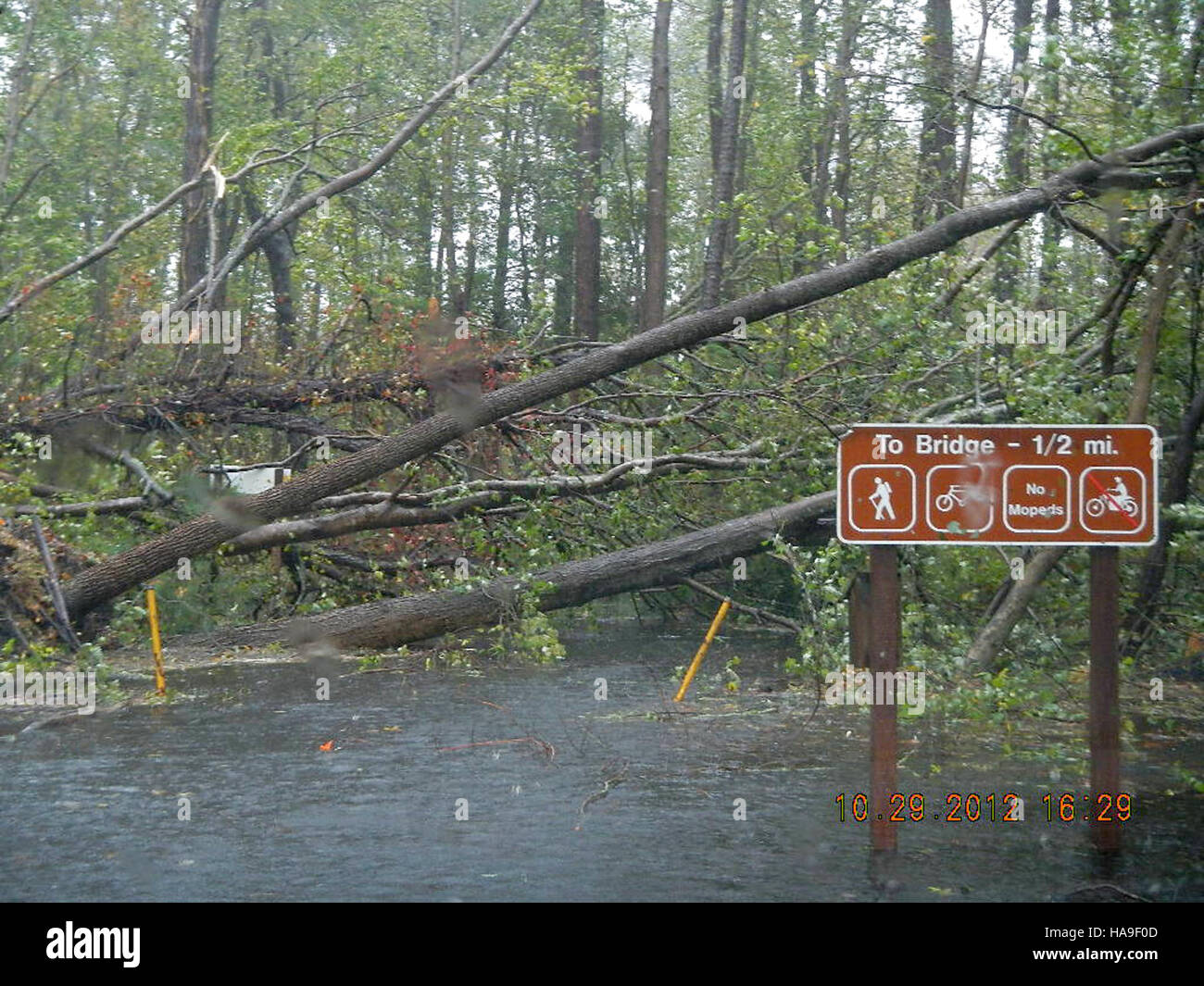 Usfwsnortheast 8141825585 L'Ouragan Sandy a frappé Chincoteague National Wildlife Refuge (VA) Banque D'Images