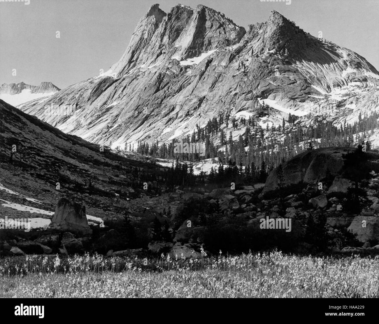 Le Ansel Adams mural Project (1941-1942) est une collection de photographies en noir et blanc commandées par le National Park Service des États-Unis pour mettre en valeur la beauté des parcs nationaux américains. Le travail d’Adams reste un enregistrement visuel vital de ces paysages. Banque D'Images