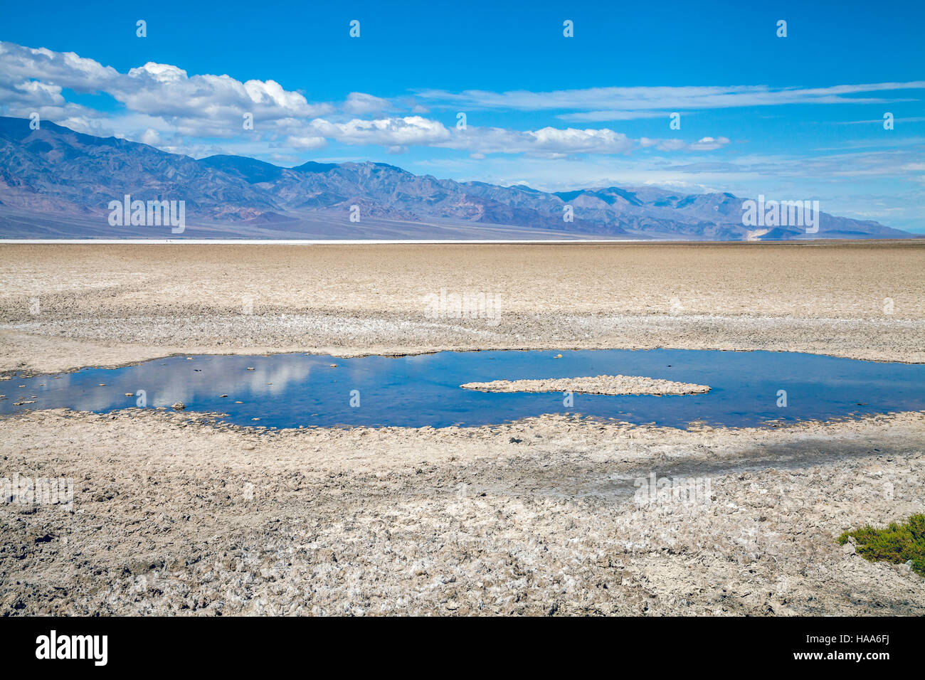 Le bassin de Badwater, Death Valley National Park, California, USA Banque D'Images