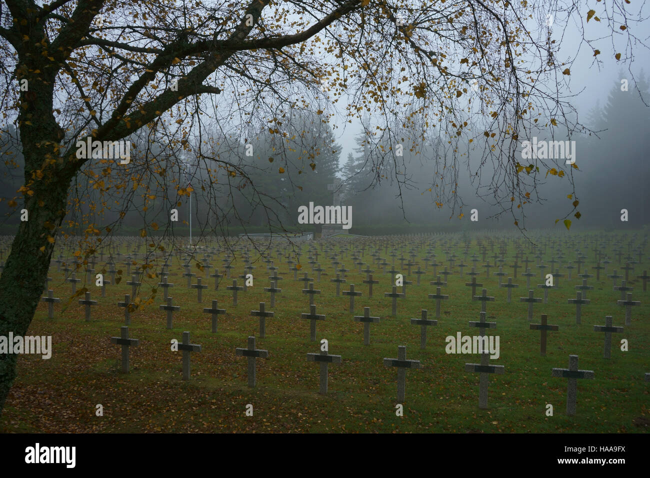 La Première Guerre mondiale Cimetière National Col du Wettstein à Orbey, soldats français, Vosgese montagnes, Alasace, France Banque D'Images