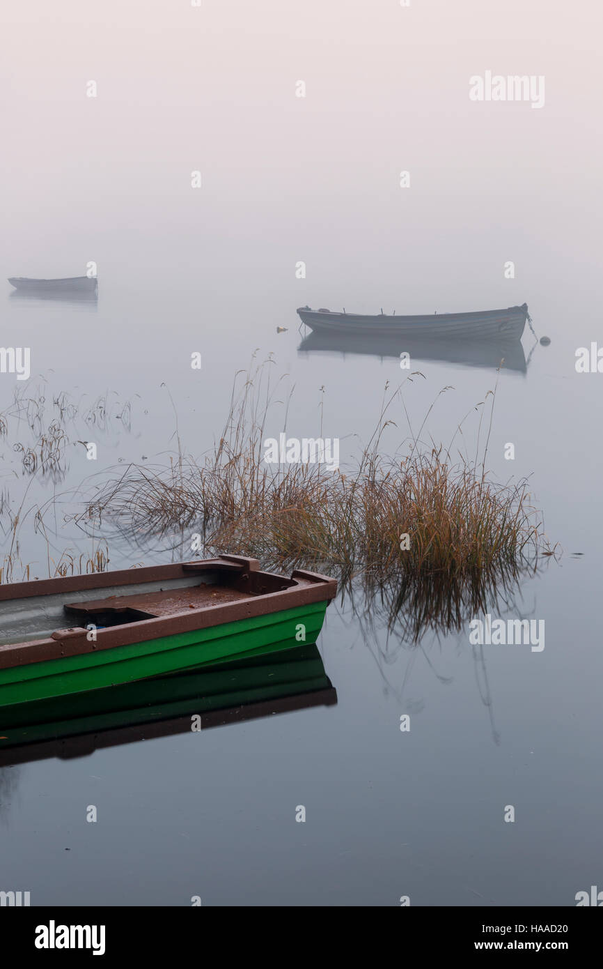 Bateaux de pêche sur leurs amarres sur un matin brumeux Irlande sligo hazelwood Banque D'Images