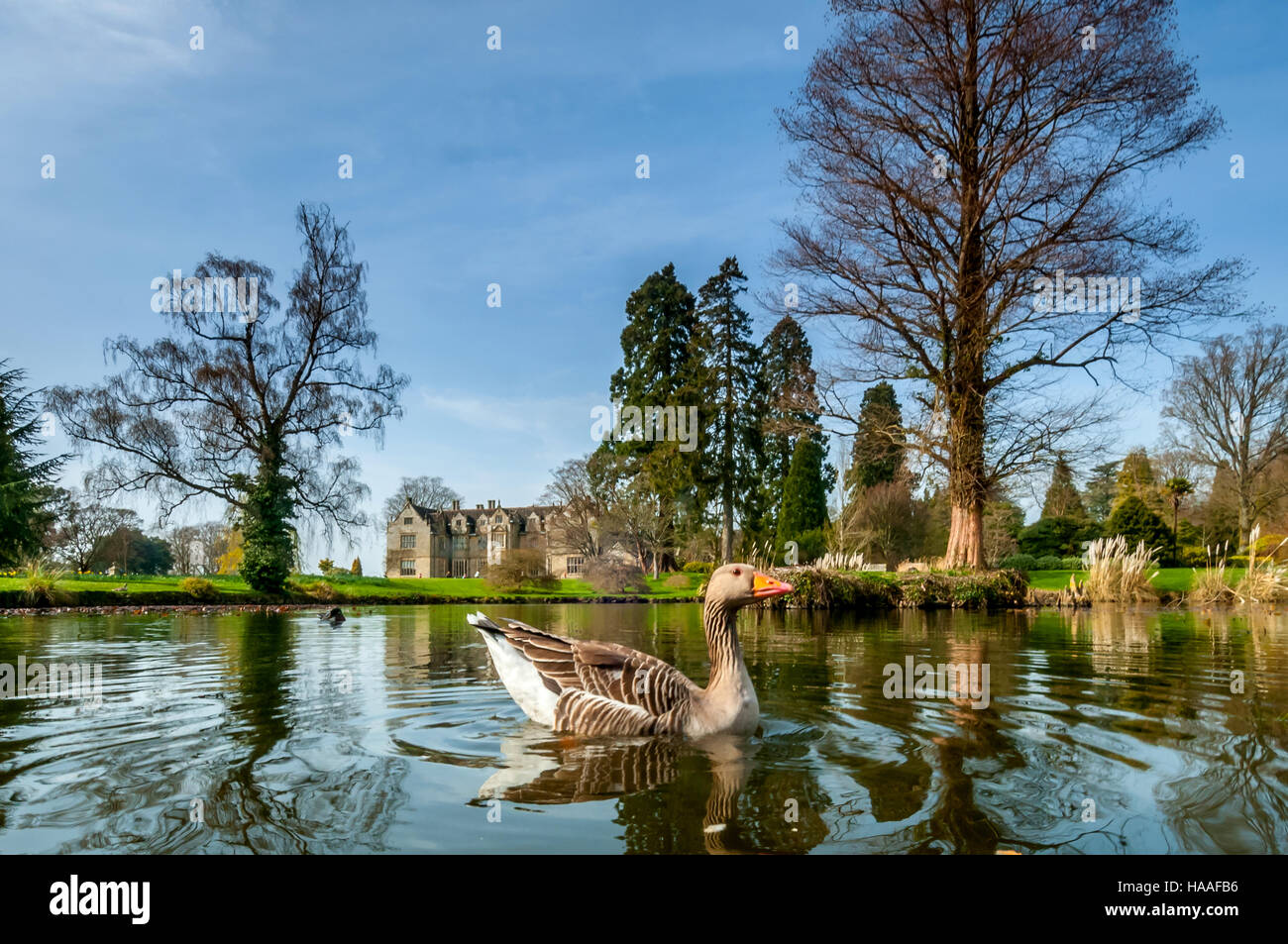 Wakehurst Place dans West Sussex Banque D'Images