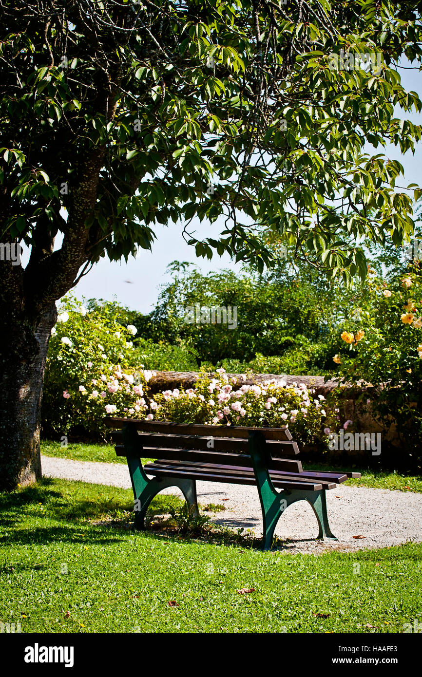 Banc en bois à l'ombre d'un arbre en été dans un coin tranquille d'un parc  avec des parterres de roses Photo Stock - Alamy