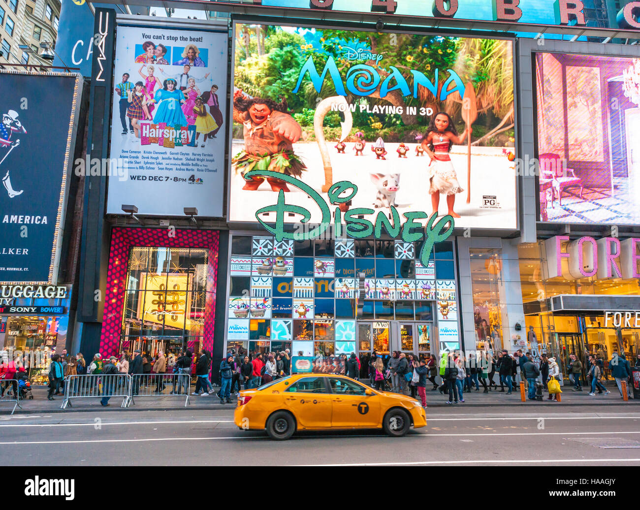 Le Disney Store à Times Square à New York fait la promotion de la marchandise liée à sa dernière version, 'Moana', vu le samedi 26 novembre, 2016. Jouant dans 3875 endroits 'Moana' semble être le gagnant de la loterie vidéo grâces gagne déjà 21,8 millions de dollars, avec une estimation de plus de 80 millions de dollars par l'heure le week-end se termine. Et ce n'est que box office, il n'inclut pas le merchandising obligatoire qui va de pair. (© Richard B. Levine) Banque D'Images