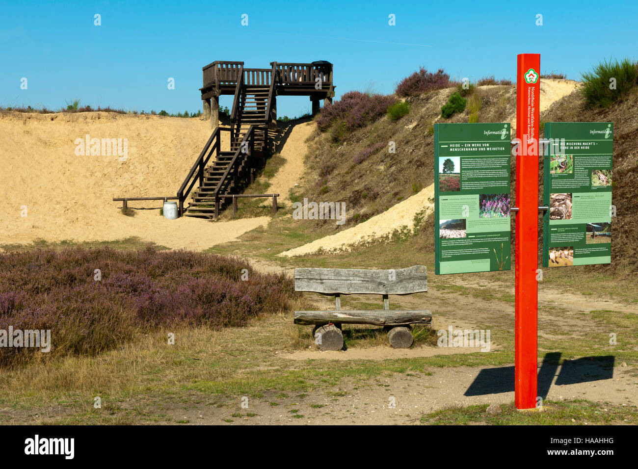 Deutschland, Nordrhein-Westfalen, Kreis Viersen, Brüggen-Bracht, réserve naturelle de Brachter Wald. 1250 ha große Banque D'Images