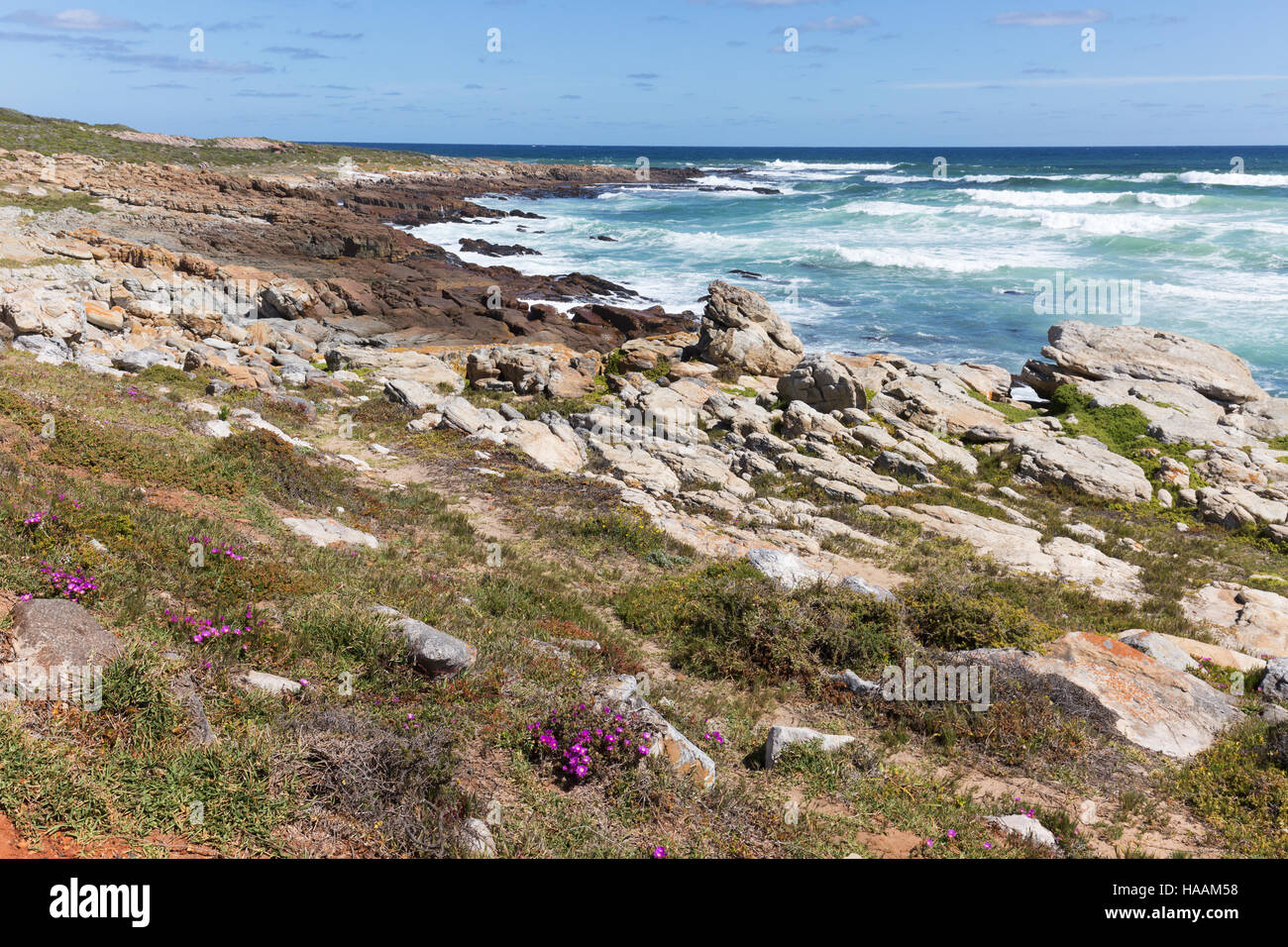 Le paysage côtier de l'Afrique du Sud au Cap de Bonne Espérance, péninsule du Cap, Afrique du Sud Banque D'Images