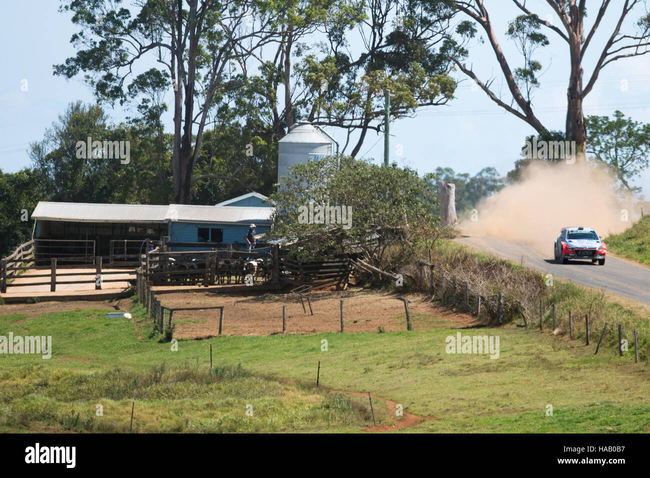 Coffs Harbour, Australie - 19 novembre 2016 : World Rally Championship - Coffs Harbour Australie Valla Stade. © mjmediabox / Alamy Live News Banque D'Images