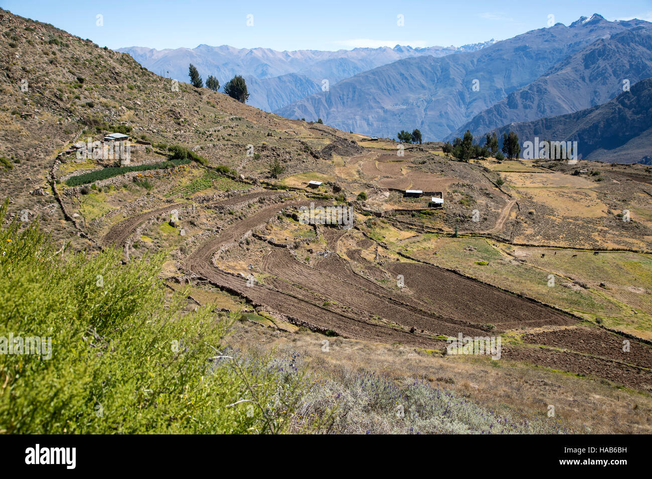 Les champs agricoles et les montagnes près de la Croix du Condor donnent sur, Canyon de Colca, Arequipa, Pérou Banque D'Images