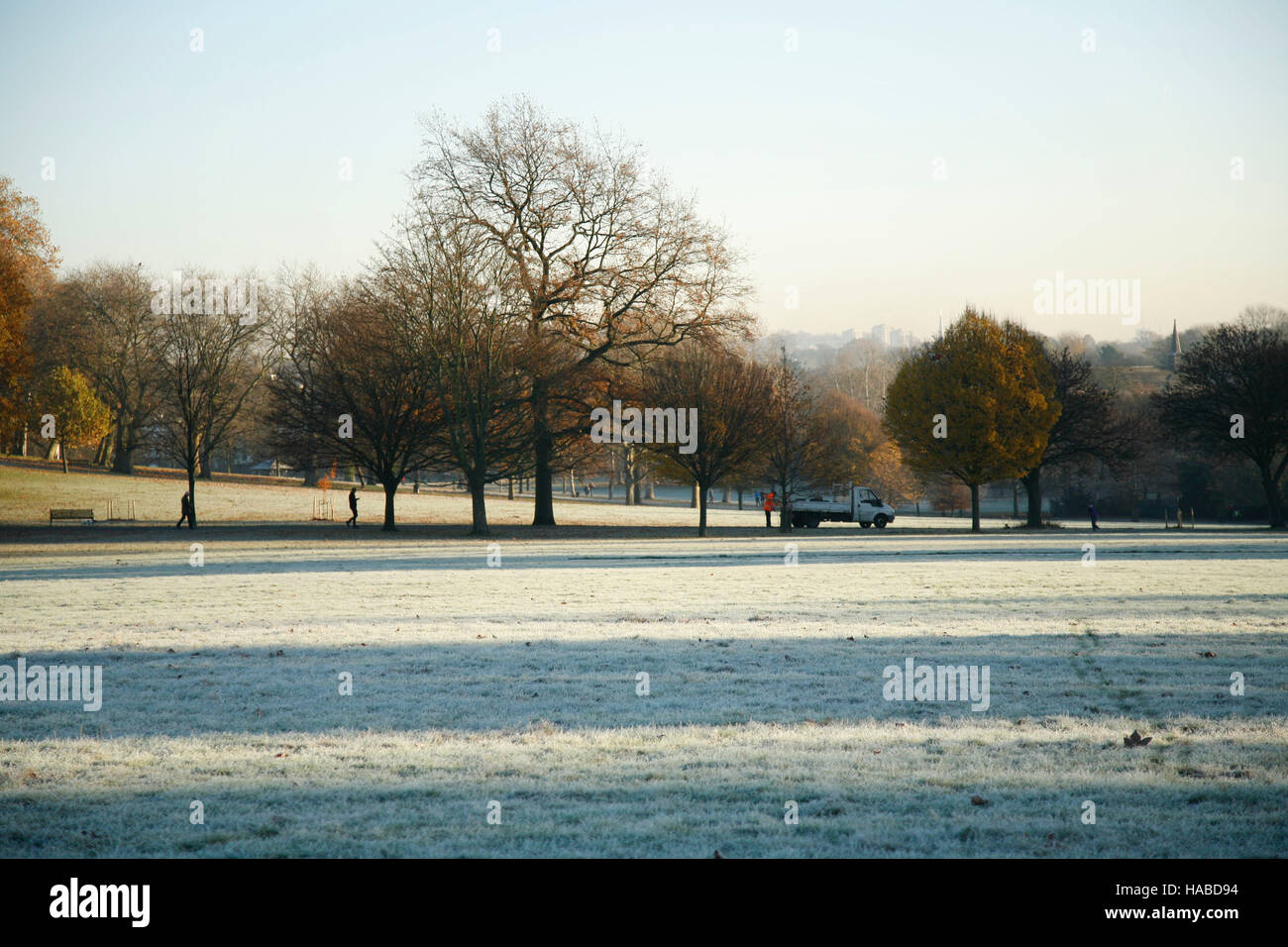 Londres, Royaume-Uni. 29 Nov, 2016. Brockwell Park, dans le sud de Londres, 8h30 le matin, température de congélation : Crédit fotographic.eu/Alamy Live News Banque D'Images