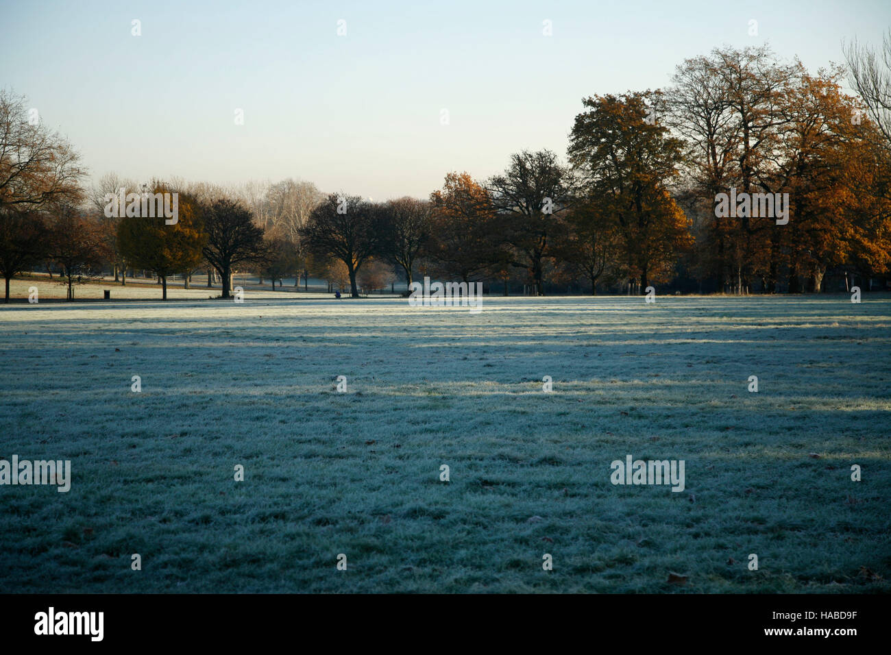 Londres, Royaume-Uni. 29 Nov, 2016. Brockwell Park, dans le sud de Londres, 8h30 le matin, température de congélation : Crédit fotographic.eu/Alamy Live News Banque D'Images
