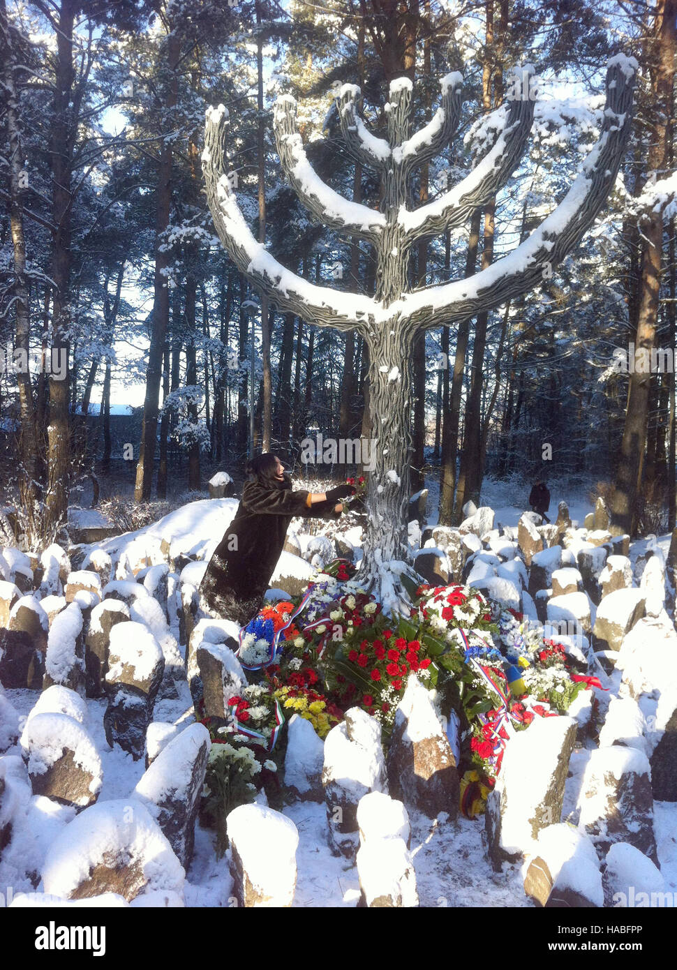 Rumbala, la Lettonie. 29 Nov, 2016. Les visiteurs déposent des fleurs par un grand monument à une menorah memoral pour les victimes de la Shoah il y a 75 ans à Rumbala, Lettonie, 29 novembre 2016. Le Président de la Lettonie, Vejonis, a parlé de l'immense "crimes" réalisées pendant l'occupation allemande du pays dans la seconde guerre mondiale à l'événement, en face des portes de la ville de la capitale, Riga. Plus de 25 000 Juifs ont été assassinés par les Nazis en Rumbula entre 30 novembre et 08 décembre en 1941. Photo : Alexander Welscher/dpa/Alamy Live News Banque D'Images