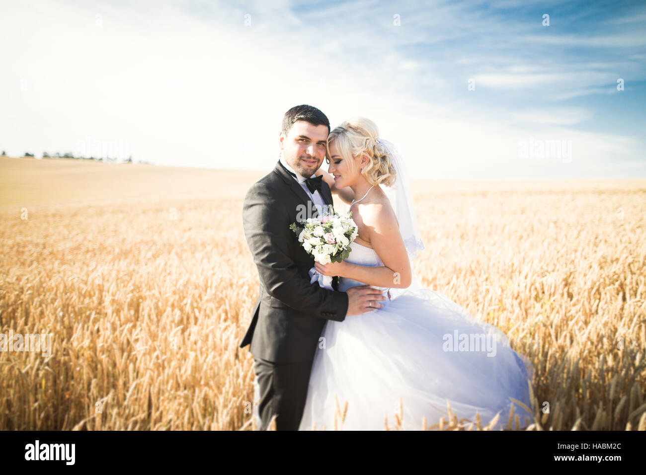 Beau couple, mariés posant sur champ de blé avec ciel bleu Banque D'Images