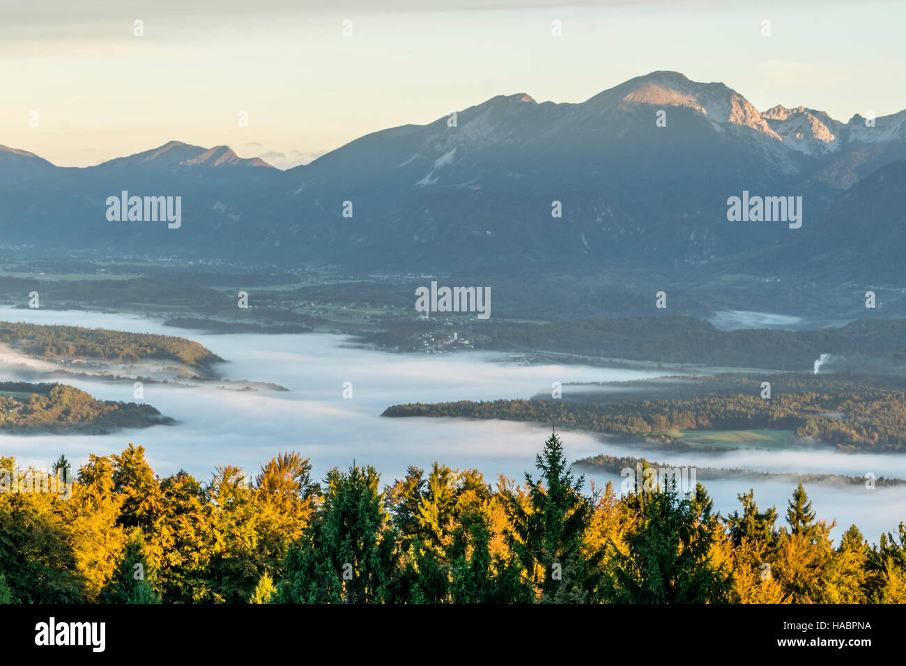 Brouillard lourd magnifique en Slovénie Banque D'Images