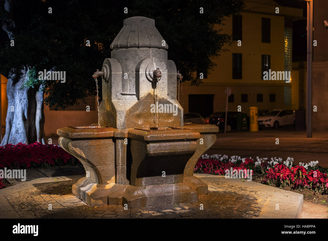 Vieille Fontaine dans le parc de Santa Cruz sur l'île de Ténérife, Espagne Banque D'Images