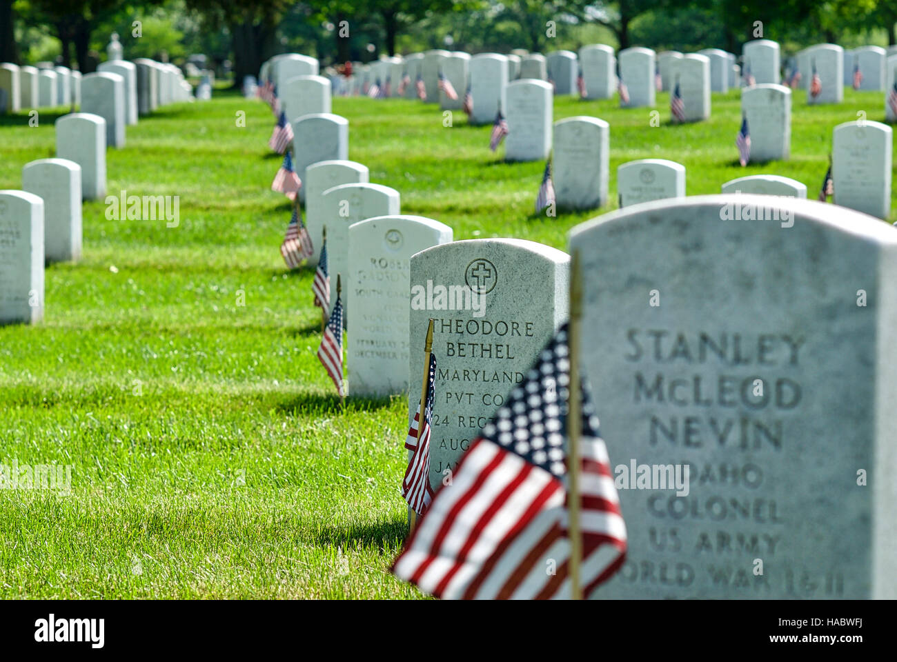 De nombreuses pierres tombales avec le drapeau américain au cimetière national d'Arlington, Virginie, USA, le week-end du Memorial Day. Banque D'Images