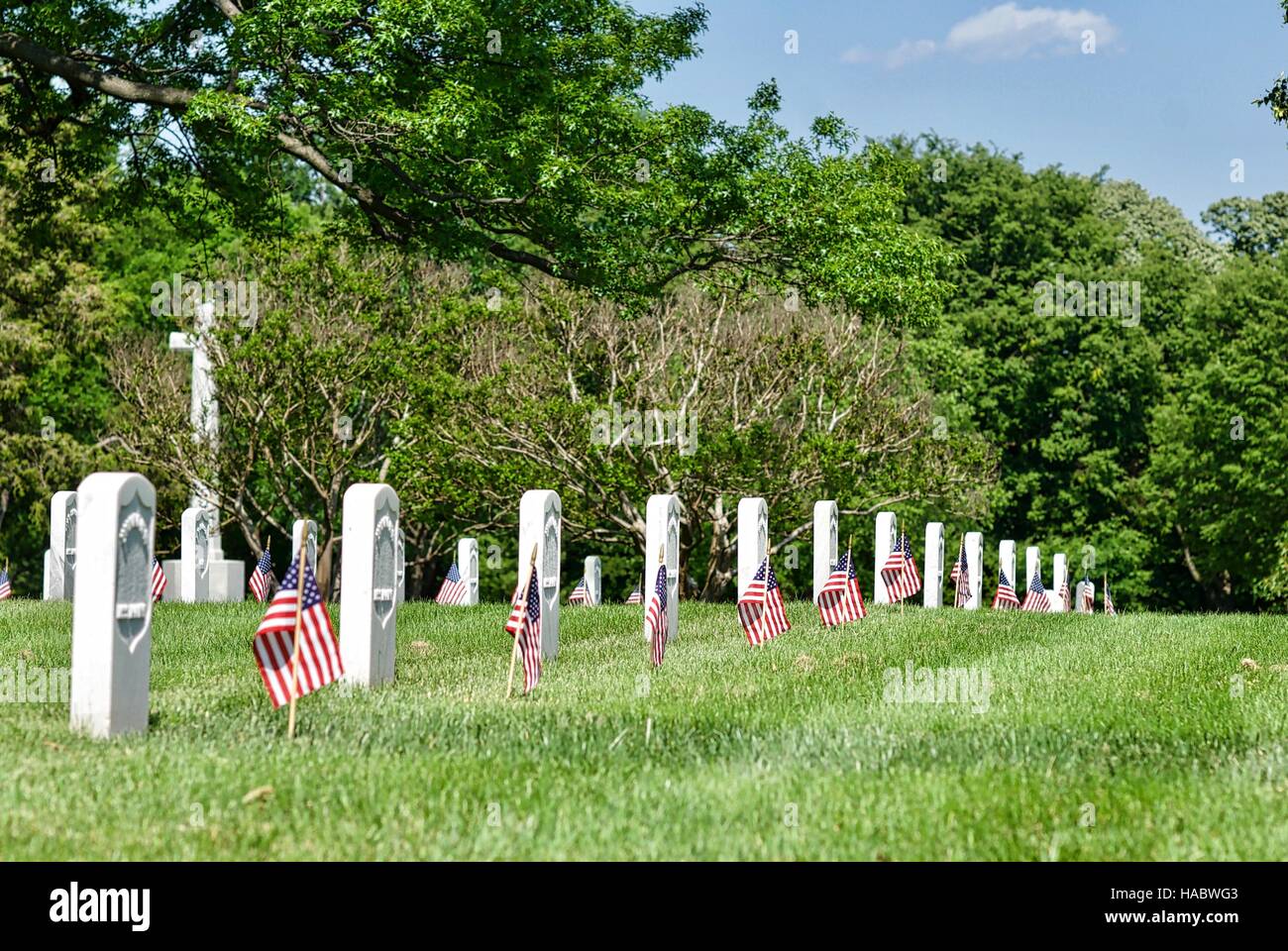 Rangée de pierres tombales avec le drapeau américain au cimetière national d'Arlington, Arlington, Virginia, USA, le week-end du Memorial Day. Banque D'Images