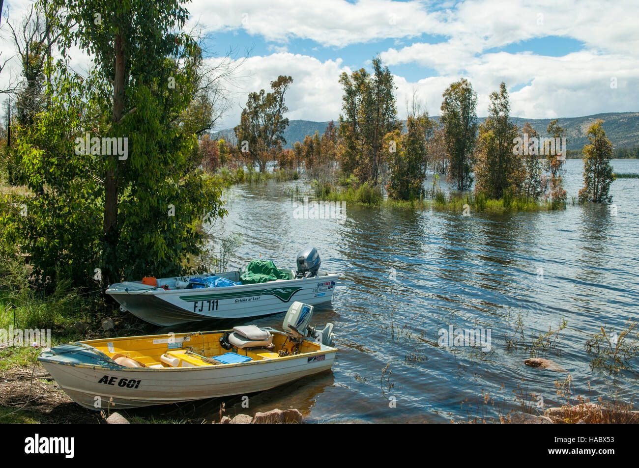Lake Wartook, Grampians, Victoria, Australie Banque D'Images