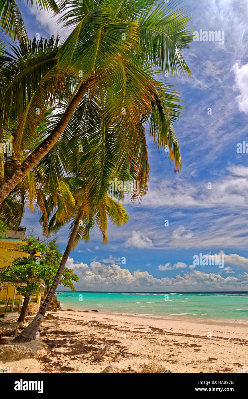 Worthing Beach à Worthing, entre St Lawrence Gap et de Bridgetown, Barbade, Caraïbes. Banque D'Images