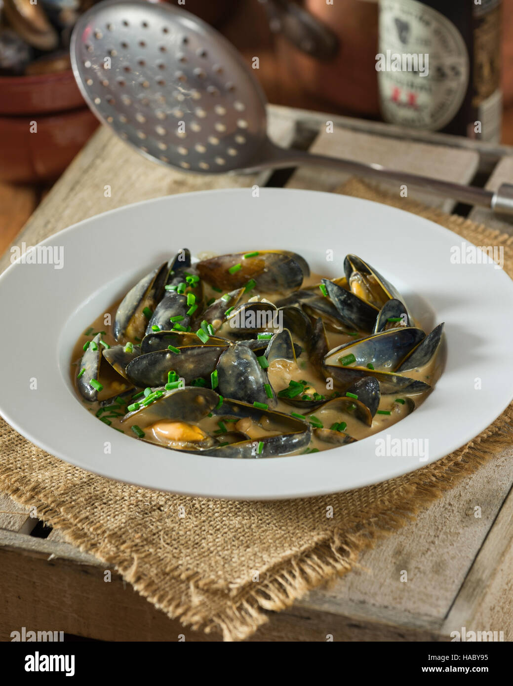 Moules dans une sauce à la crème Guinness Banque D'Images