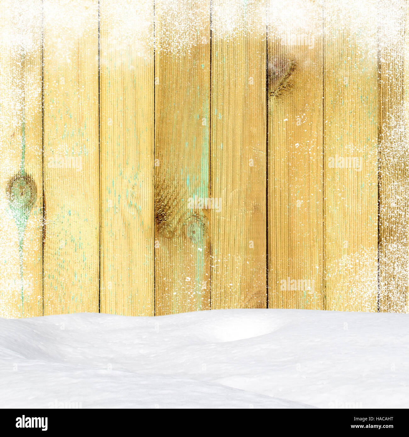 Fond de bois de pin de Noël avec des chutes de neige et de neige. Voir with copy space Banque D'Images
