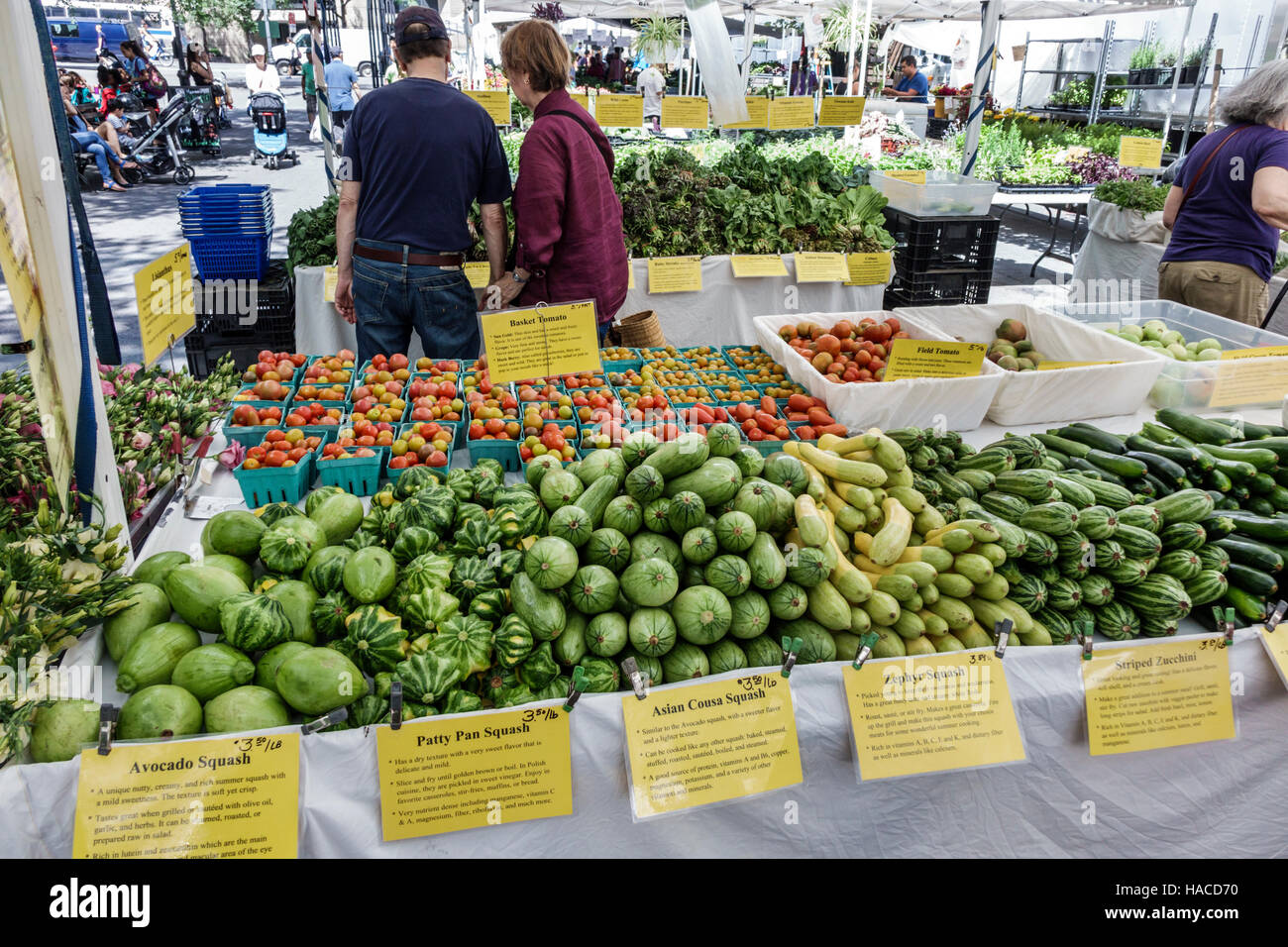 New York City,NY NYC Manhattan,Midtown,Turtle Bay,Dag Hammarskjold Plaza Greenmarket,Farmer market,tente,tables,légumes,squash avocat,patty PAN,Ze Banque D'Images New York City,NY NYC Manhattan,Midtown,Turtle Bay,Dag Hammarskjold Plaza Greenmarket,Farmer market,tente,tables,légumes,squash avocat,patty PAN,Ze Banque D'Images