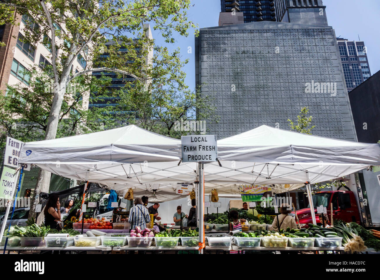 New York City,NY NYC Manhattan,Midtown,Turtle Bay,Dag Hammarskjold Plaza Greenmarket,tente,vendeur vendeurs vendre, stall stalles stand marché Banque D'Images