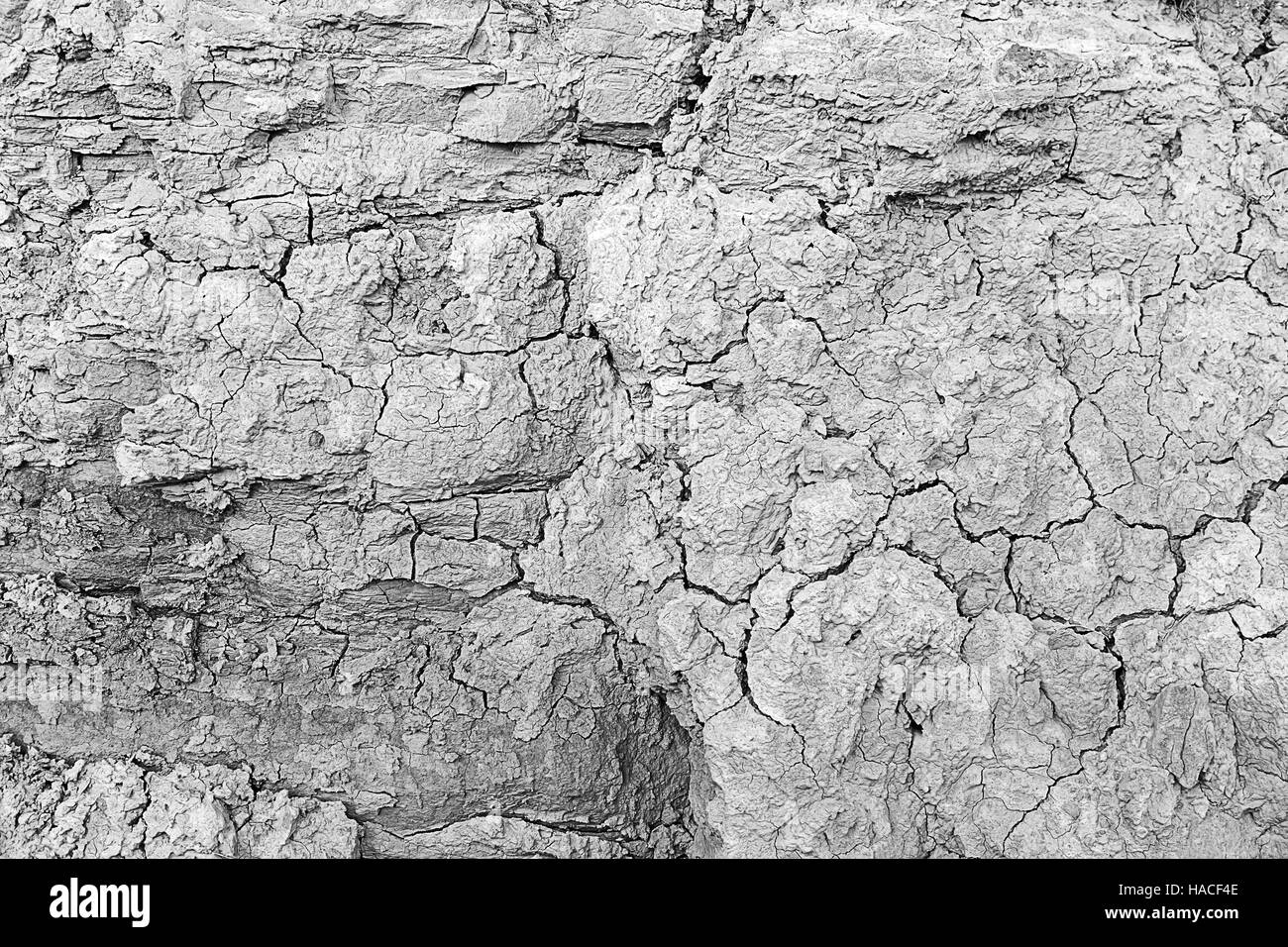 Sec et cassé dans la nature, de l'agriculture sur le terrain Banque D'Images