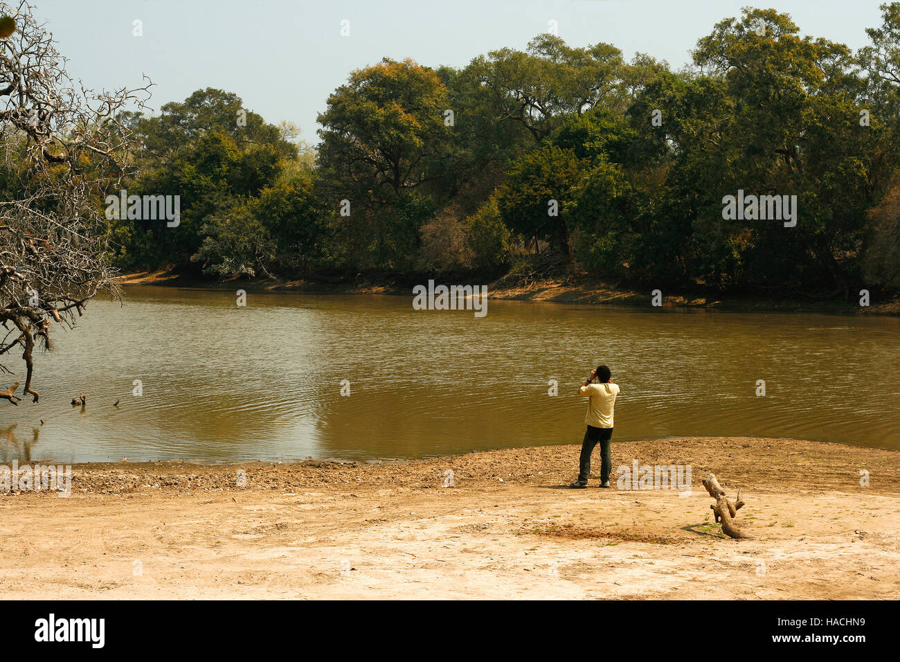 Mana Pools National Park. Zimbabwe Banque D'Images