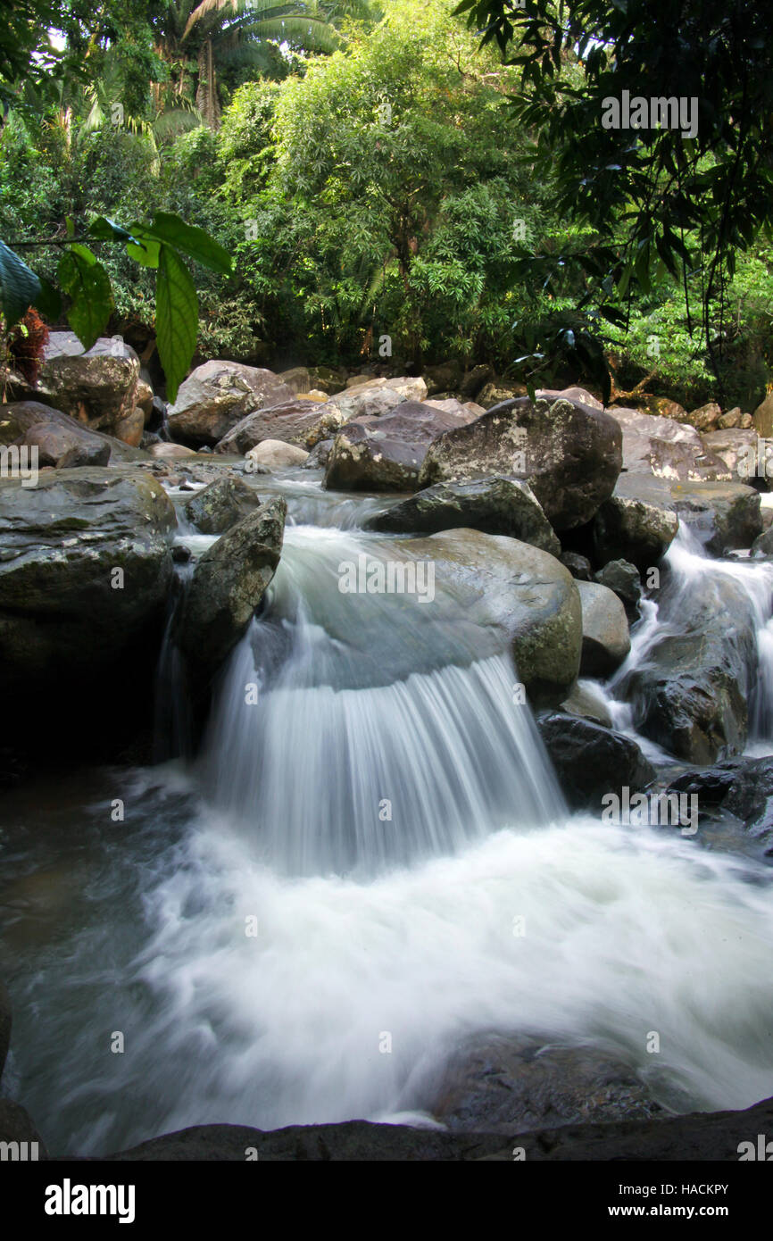 Belle cascade dans la jungle, Trujillio, Mosquito Coast, au Honduras, en Amérique centrale. Banque D'Images