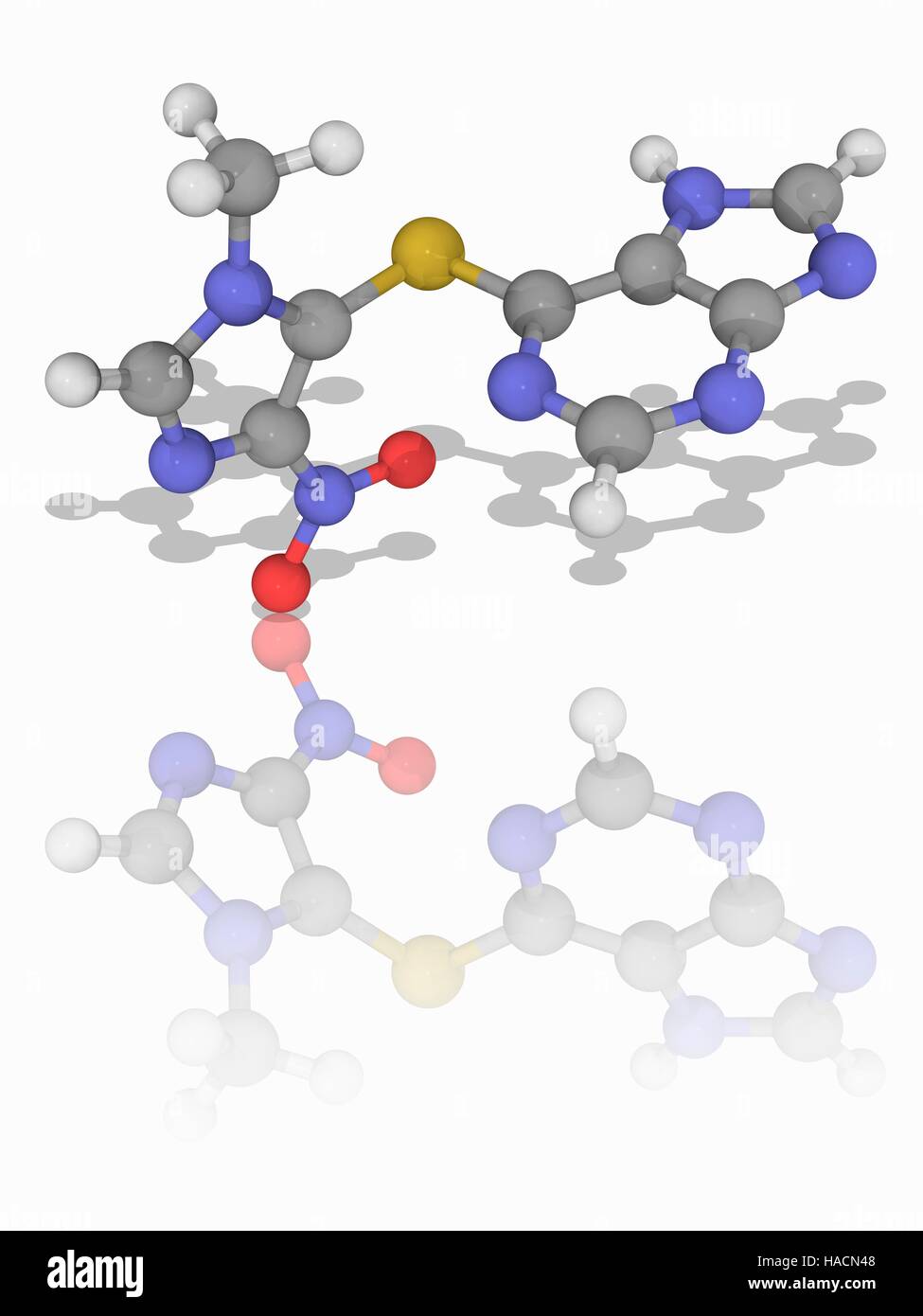 L'azathioprine. Le modèle moléculaire de l'immunosuppresseur azathioprine (C9.H7.N7.O2.S). Ce médicament est utilisé pour prévenir le rejet d'organe après une transplantation d'organe. Les atomes sont représentés comme des sphères et sont codés par couleur : carbone (gris), l'hydrogène (blanc), l'azote (bleu), l'oxygène (rouge) et le soufre (jaune). L'illustration. Banque D'Images
