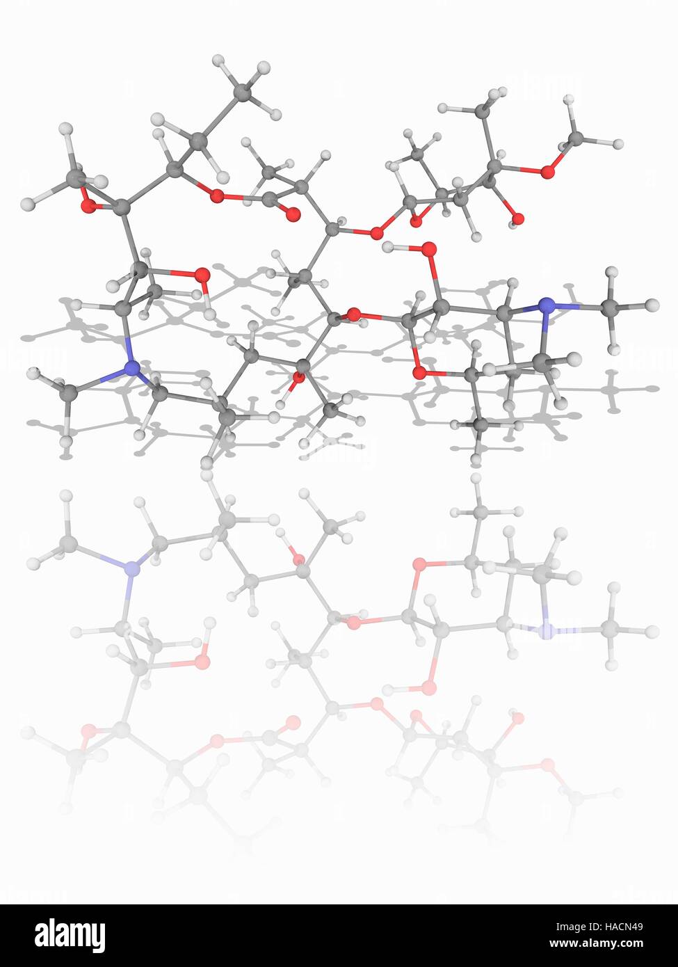 L'azithromycine. Le modèle moléculaire de l'antibiotique azithromycine (C38.H72.N2.O12). Cette drogue est un azalide, une sous-classe de macrolides. Il est utilisé pour prévenir une gamme d'infections bactériennes. Les atomes sont représentés comme des sphères et sont codés par couleur : carbone (gris), l'hydrogène (blanc) et d'oxygène (rouge). L'illustration. Banque D'Images