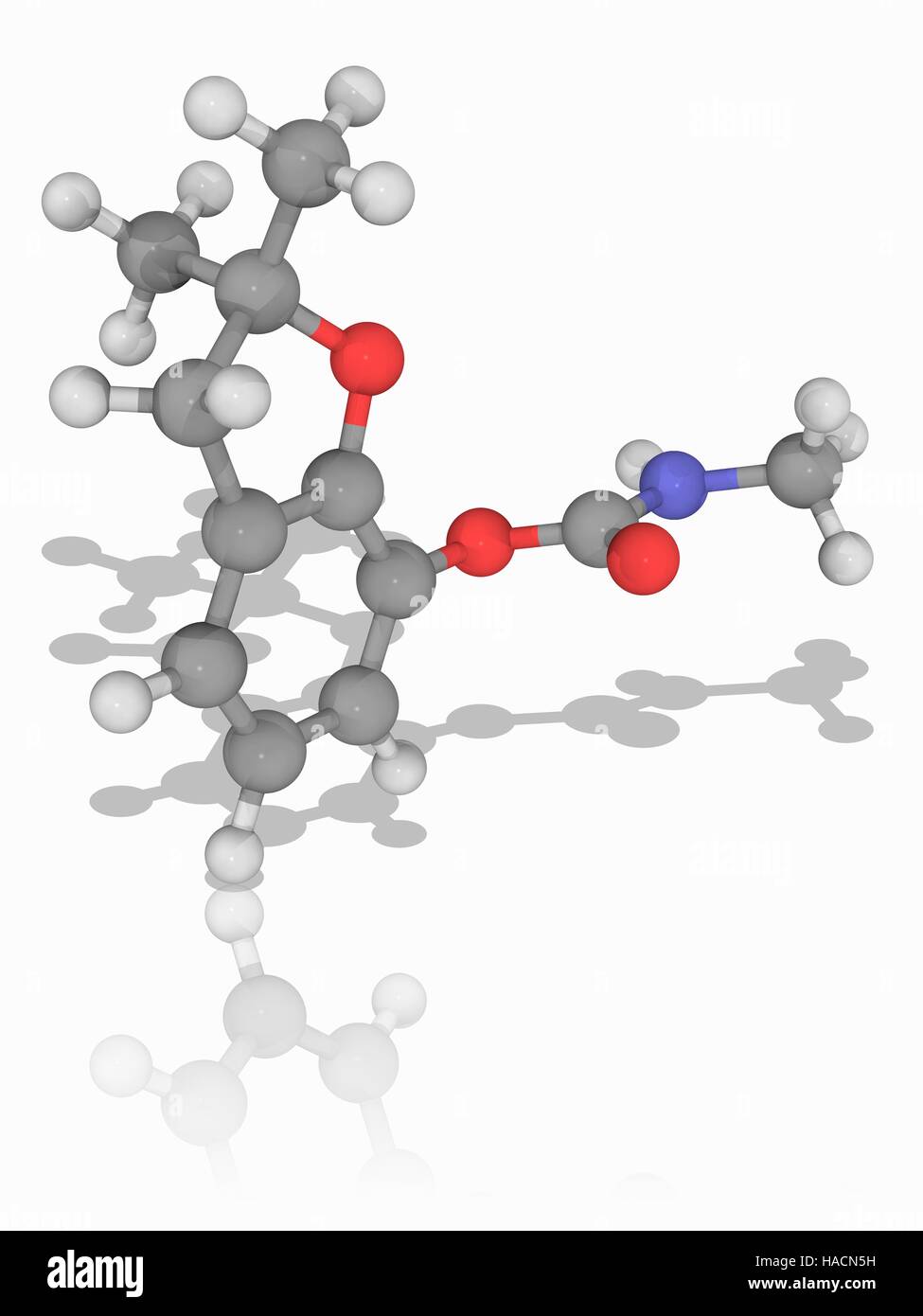 Le carbofuran. Le modèle moléculaire de la Pesticides carbamates carbofurane (C12.H15.N.O3). Commercialisé comme Furadan et Curater, c'est l'un des plus toxiques, les pesticides utilisés pour contrôler des insectes sur les cultures agricoles. Les atomes sont représentés comme des sphères et sont codés par couleur : carbone (gris), l'hydrogène (blanc), l'azote (bleu) et d'oxygène (rouge). L'illustration. Banque D'Images