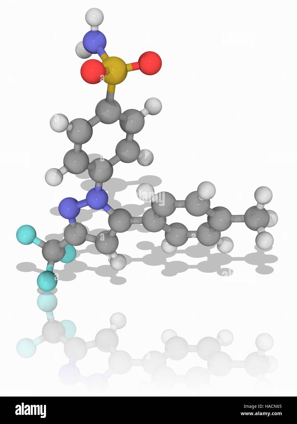 Le célécoxib. Le modèle moléculaire de l'anti-inflammatoire du célécoxib (C17.H14.F3.N3.O2.S). C'est un anti-inflammatoire non stéroïdien (AINS) et l'inhibiteur sélectif de la COX-2 utilisé dans le traitement de l'arthrite et de règles douloureuses. Les inhibiteurs de la COX-2 l'objectif de la cyclooxygenase-2 enzyme responsable de l'inflammation et la douleur. Les atomes sont représentés comme des sphères et sont codés par couleur : carbone (gris), l'hydrogène (blanc), l'azote (bleu), l'oxygène (rouge), le soufre (jaune) et de fluor (cyan). L'illustration. Banque D'Images