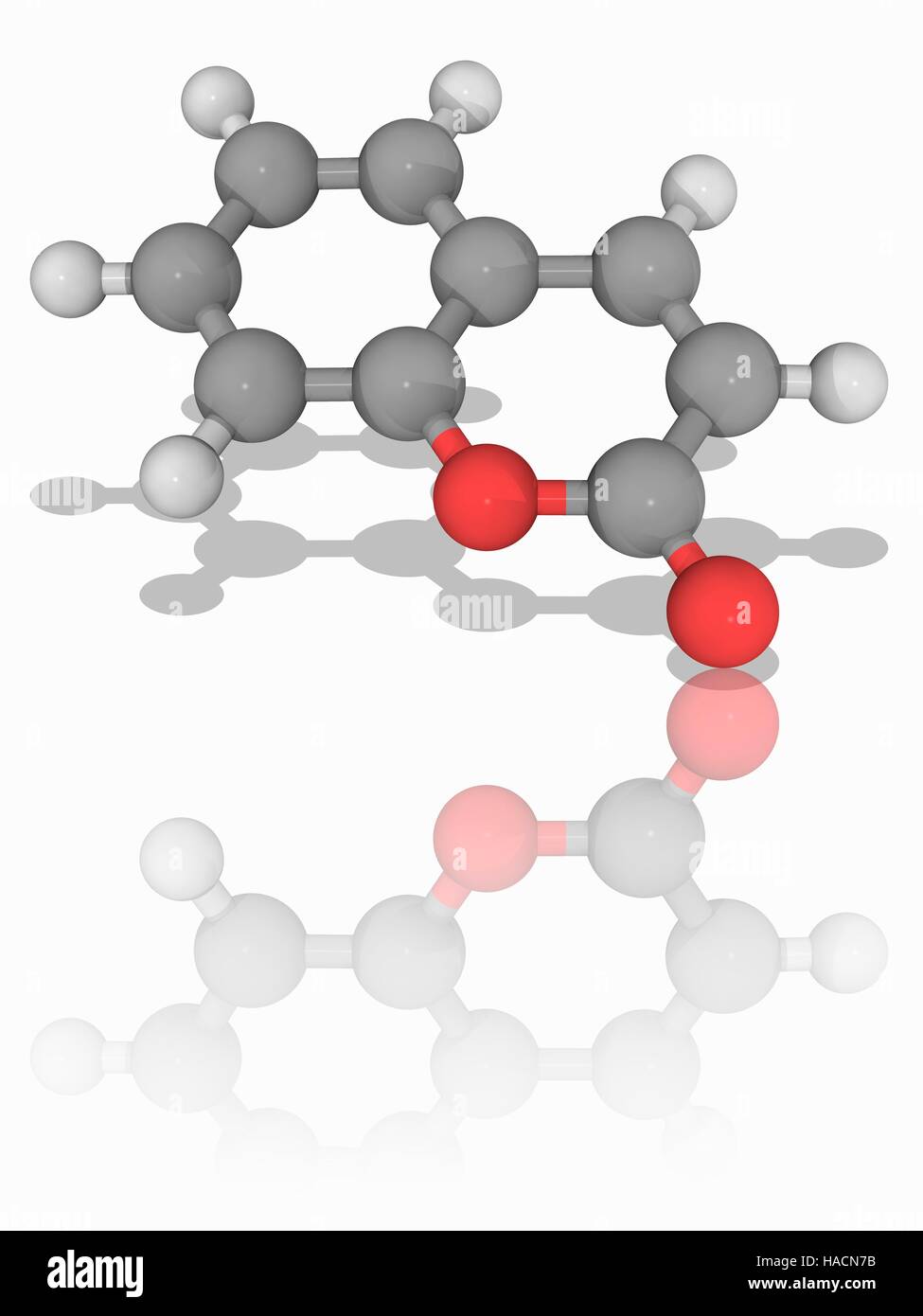 Coumarine. Le modèle moléculaire du composé organique aromatique (coumarine C9.H6.O2). C'est présent dans de nombreuses plantes et est un précurseur chimique pour la production d'anticoagulants. Les atomes sont représentés comme des sphères et sont codés par couleur : carbone (gris), l'hydrogène (blanc) et d'oxygène (rouge). L'illustration. Banque D'Images