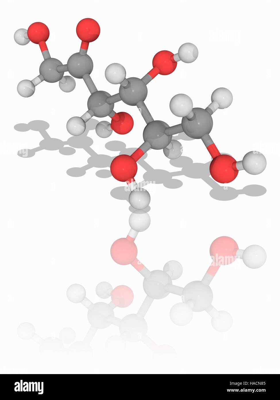 D-fructose. Le modèle moléculaire du fructose (sucre de fruit C6.H12.O6), officiellement connu sous le nom de D-fructopyranose. Ce sucre est présent dans de nombreuses plantes. Les atomes sont représentés comme des sphères et sont codés par couleur : carbone (gris), l'hydrogène (blanc) et d'oxygène (rouge). L'illustration. Banque D'Images