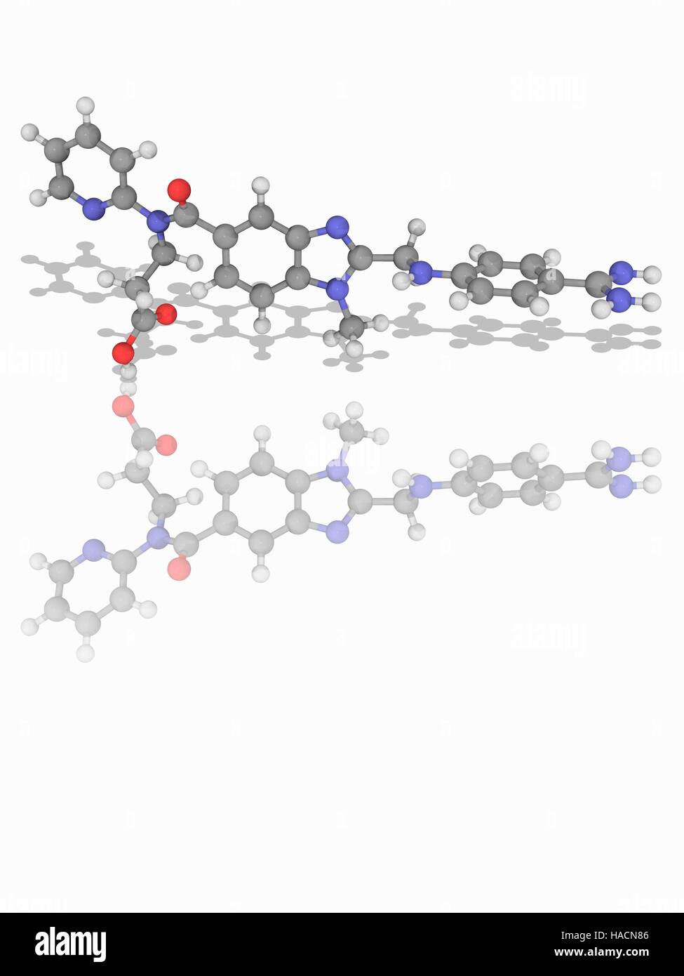 Le dabigatran. Le modèle moléculaire de l'anticoagulant dabigatran (C25.H25.N7.O3). C'est un anticoagulant oral appartenant à la classe des inhibiteurs directs de la thrombine. Les atomes sont représentés comme des sphères et sont codés par couleur : carbone (gris), l'hydrogène (blanc), l'azote (bleu) et d'oxygène (rouge). L'illustration. Banque D'Images