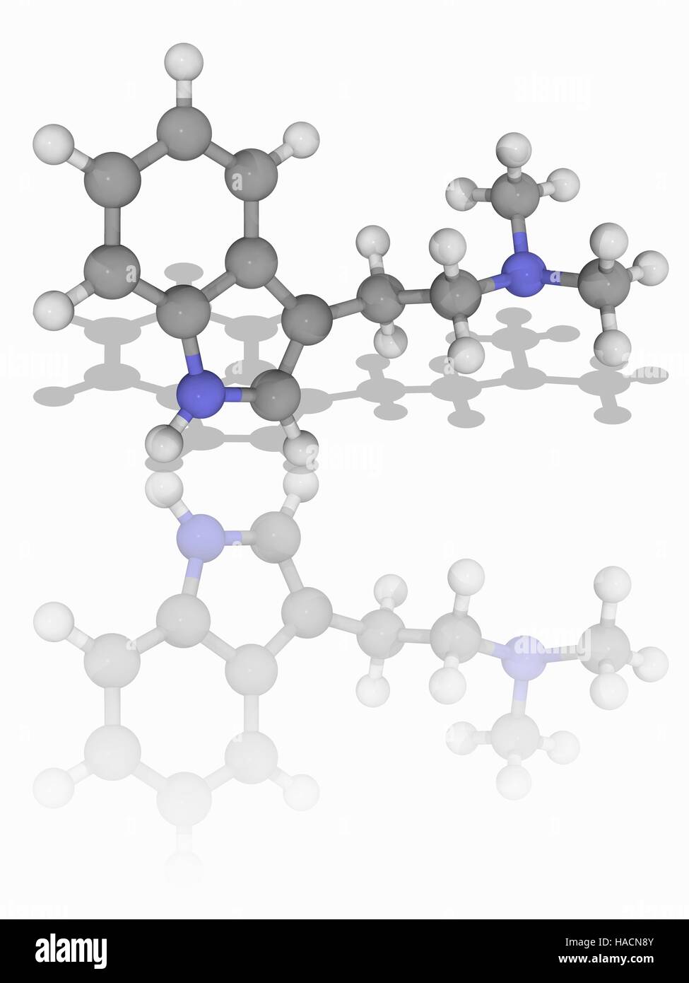 La DMT. Le modèle moléculaire de l'drogue psychédélique diméthyltryptamine (DMT, C12.H16.N2), contrôlée ou interdite dans de nombreux pays. Les atomes sont représentés comme des sphères et sont codés par couleur : carbone (gris), l'hydrogène (blanc) et de l'azote (bleu). L'illustration. Banque D'Images