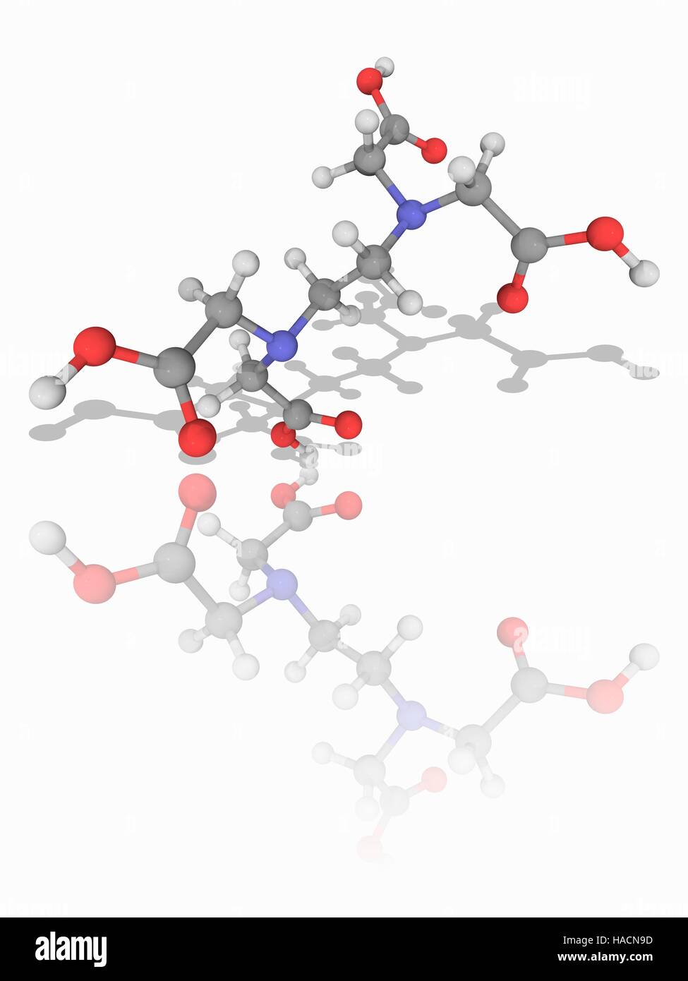 L'acide Edetic. Le modèle moléculaire de l'acide carboxylique polyamino connu comme l'acide edetic (C10.H16.N2.O8). Il est également connu sous le nom de l'acide éthylènediaminetétracétique (EDTA) et est largement utilisé pour dissoudre le calcaire. Les atomes sont représentés comme des sphères et sont codés par couleur : carbone (gris), l'hydrogène (blanc), l'azote (bleu) et d'oxygène (rouge). L'illustration. Banque D'Images